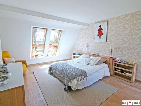 photo no. 7