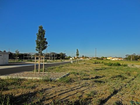 photo no. 2