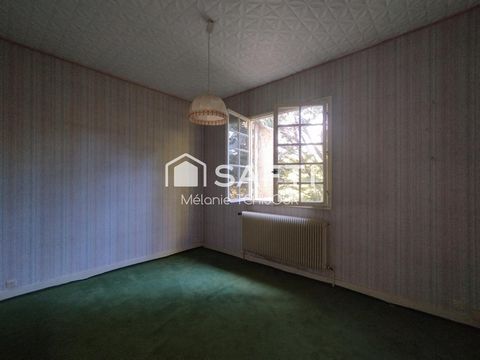 photo no. 9