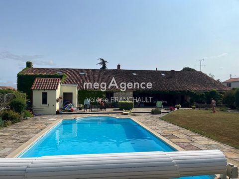 photo no. 10