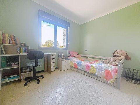 photo no. 9