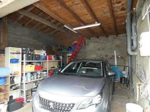 photo no. 8