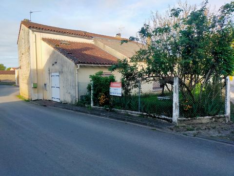 photo no. 13
