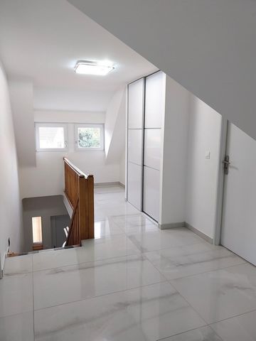 photo no. 11