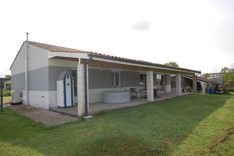 photo no. 11