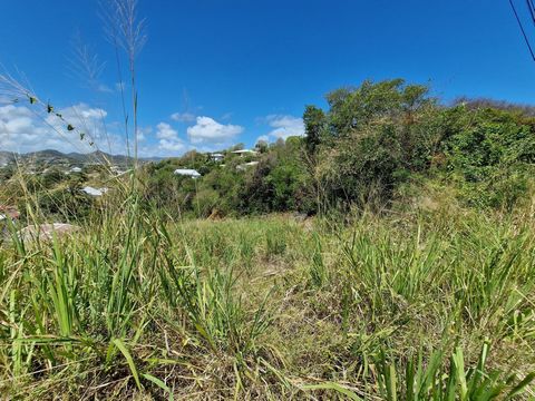 Terrain de 2924 m² dont 789 m² débroisé