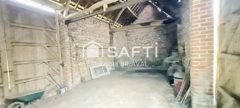 photo no. 8