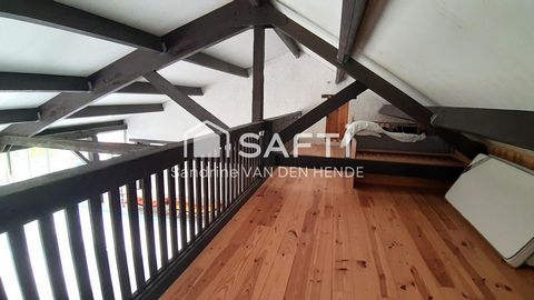 photo no. 13