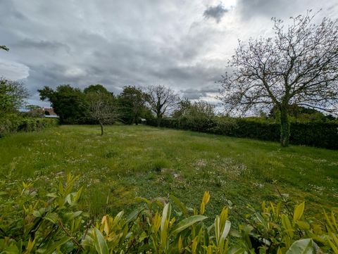 photo no. 2