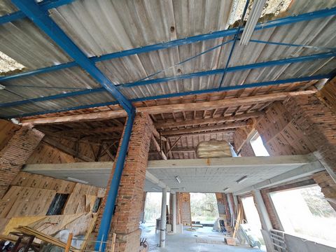 photo no. 1
