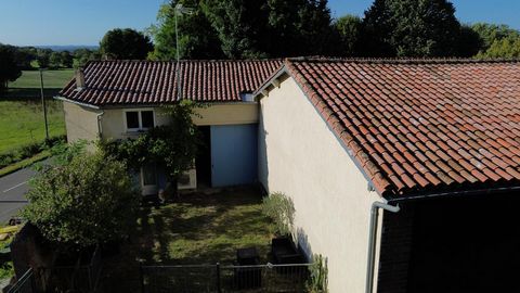 photo no. 4
