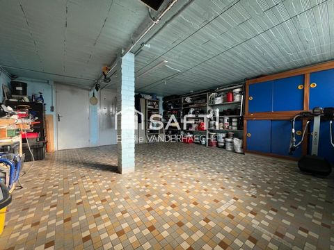 photo no. 10