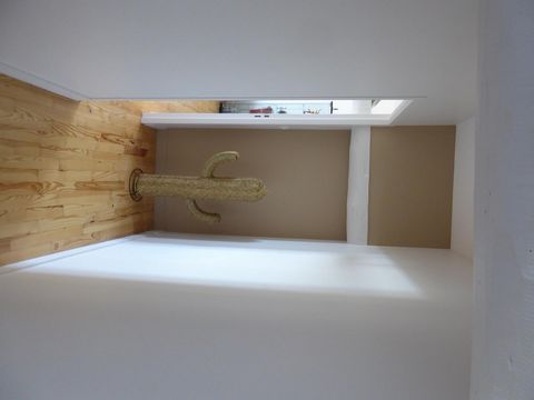 photo no. 6