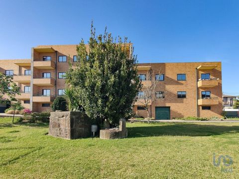 T1+1 em Condomínio Fechado no Centro de Alfena | Jardim, Parque Infantil e Churrasqueiras Imagine viver no centro de Alfena, num condomínio fechado pensado para proporcionar momentos especiais em família! Este apartamento T1+1 oferece conforto, prati...