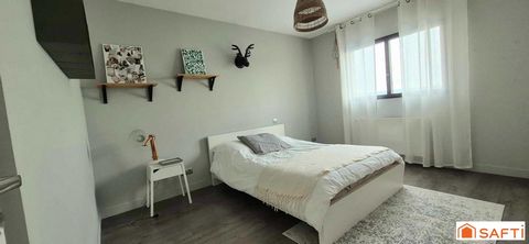 photo no. 12