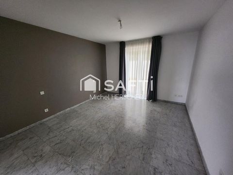 photo no. 19