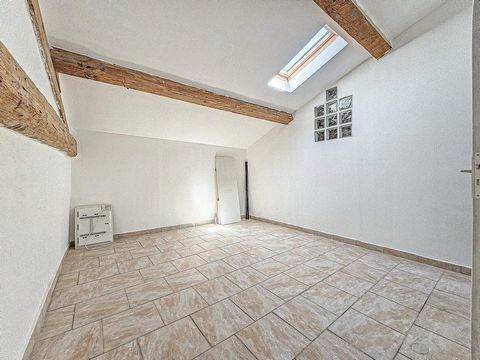 photo no. 11
