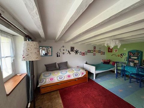 photo no. 11