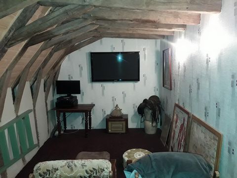 photo no. 9