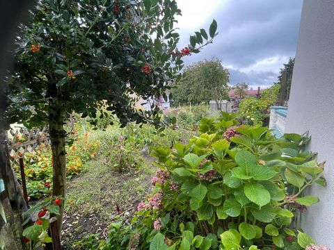 photo no. 11