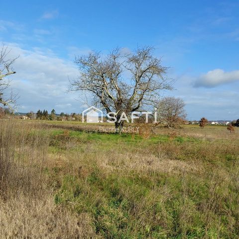 photo no. 2