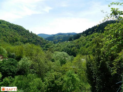 photo no. 14