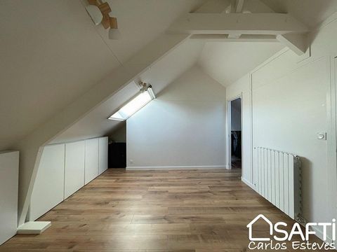 photo no. 11