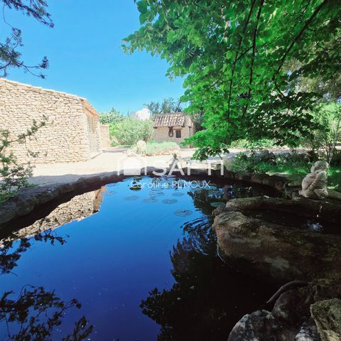 photo no. 1