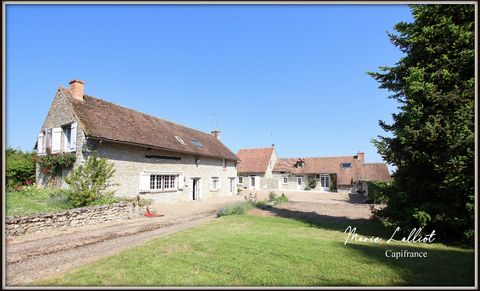 Propriété 2 maisons, Loiret, 322m², 8 chambres, jardin clos, Pierres