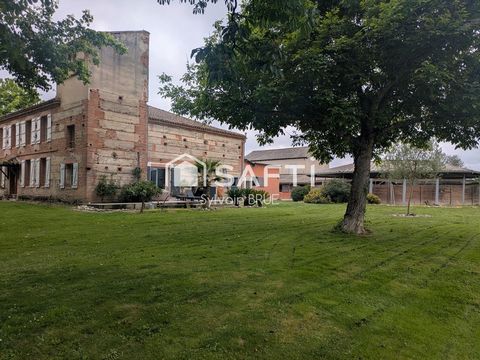 photo no. 17