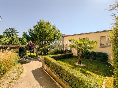 photo no. 13