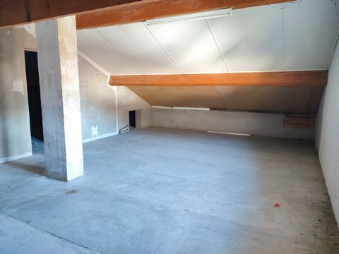 photo no. 14