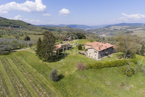 The farmhouse “Il Paretaio” is surrounded by 15ha of private land, completely fenced, in which we find, on in front of the other, the antique country house and a recently restored barn. Since the beginning of the eleventh century the farmhouse belong...