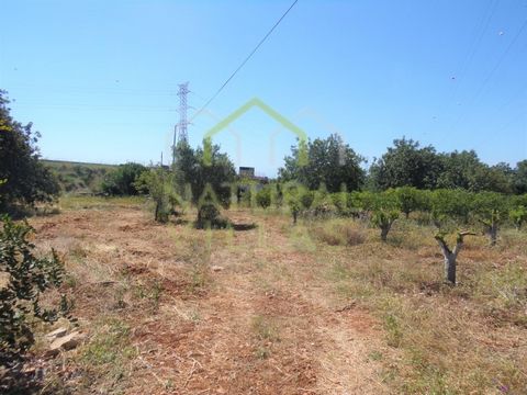 Rural Oasis Near the City: Nature and Tranquility in the Algarve Discover this charming rustic land located in a serene area just minutes from Estoi, in the municipality of Faro, Algarve. This magnificent property covers a total land area of 12,060m2...