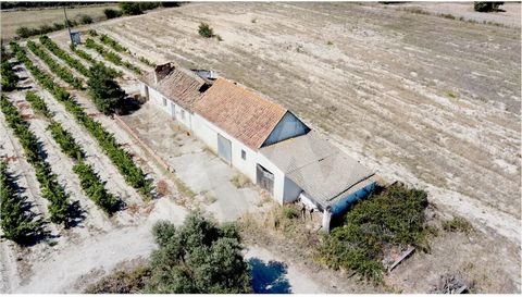 We present Ground Floor House for housing with 3 divisions, with covered surface of 65m2, having attached 3 dependencies for cellar and storage room with covered area of 85m2, with total land area 65.450m2. Production of Vine in Activity, being compo...