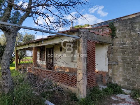 LAZIO - VITERBO - MONTALTO DI CASTRO FARMHOUSE TO BE RESTORED WITH OUTBUILDINGS Would you like to stay immersed in the greenery of Maremma Laziale but, at the same time, be able to reach the sea in just a few minutes? Then see what we have for you! F...