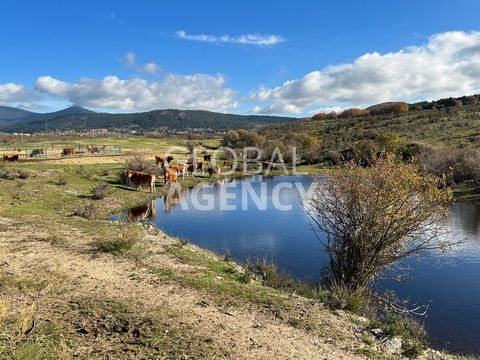 ** FULL VIDEO IN THE PHOTOS SECTION AND IN THE ADDITIONAL LINK ** Farm of 45 hectares with several buildings, permanent lagoon, several ponds and spring. Water secured all year round is super important. In fact, helicopters of Forest Firefighters com...