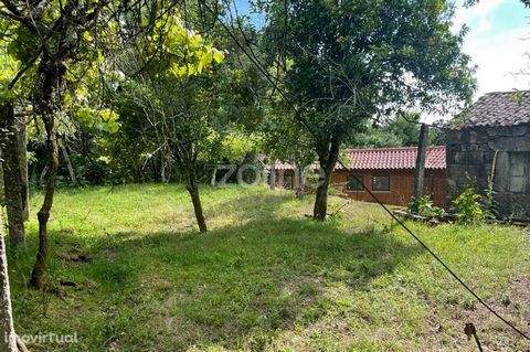 Property ID: ZMPT550676 Houses in Banda T5 in ruins in the center of Britelo, Ponte da Barca. These villas are in ruins being to recover. It also has a plot of 269 m2 that is sold together. The first house also has a mill and a press, and the last ha...