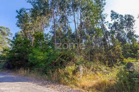 Property ID: ZMPT541480 Rustic land with 13,470 m2 in Monte Córdova - Santo Tirso This plot of land is located in the parish of Monte Córdova, after the Monte Córdoba Football Field. In the topographic survey, made recently, the area of the lot is 13...