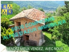 At the foot of the Mercantour Park, close to the only spa resort in the Alpes Maritimes, Berthemont-les-Bains, your agency offers you in Roquebillière, plateau du Cervagn, a superb property for sale of 22,000 m2 with many exceptional species and frui...