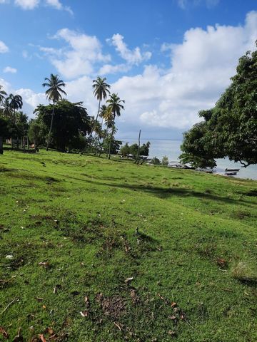 New development Lands for sale 1 unit 500 to 500 m² 0 floors Preconstruction First quarter 2025 Description Discover serenity and natural beauty in these stunning 500 square meter plots of land with ocean views in the sought-after area of Samaná, Dom...