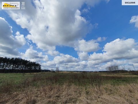 Offer only in Rent-Nieruchomości A large investment plot for sale located on the route between Kobylanka and Reptow. In the Study of Conditions and Directions of Spatial Development of the Kobylanka Commune, it is located in the zone marked with the ...