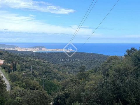 This large plot of 1,803 m² is located in the prestigious residential area of Mas Nou, in Platja d'Aro, one of the most popular towns on the Costa Brava. It is a sloping plot , ideal for building a luxury home very close to some of the most beautiful...