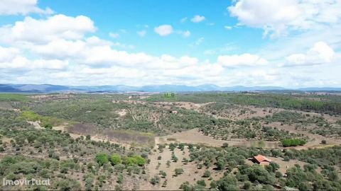 Mixed property with total area of 63500m2. Composed of rustic and urban article, it has construction duly registered for housing. The building has 73m2. New roof. It has a well with water all year round. Connection already made for water pump, as wel...