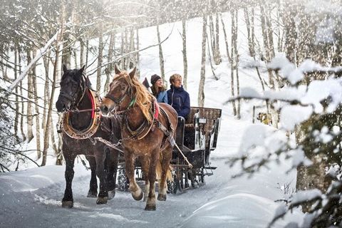 Votre propre appartement de vacances dans le Salzburger Land, la liberté ultime pour des vacances entières dans l'une des plus belles régions d'Autriche avec beaucoup d'espace, beaucoup de confort, une vue fantastique et autant de services que vous l...