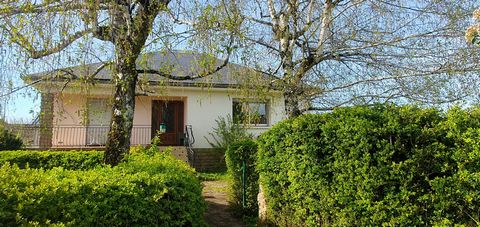 photo no. 35