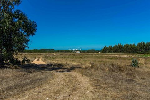 Une grande parcelle de terrain de 16 hectares à vendre à Odeceixe, située dans une zone tranquille offrant un grand potentiel pour le tourisme rural ainsi que des projets agricoles et des logements. Entourée de pins, d'eucalyptus et d'autres de la na...