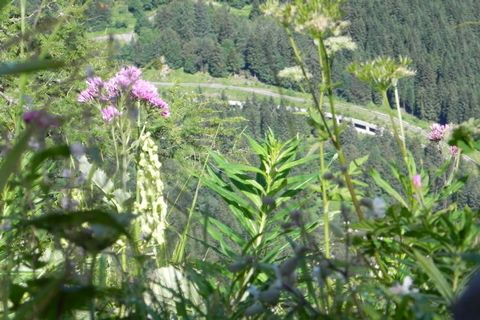 Ce bel appartement de vacances familial pour un maximum de 4 personnes est situé dans une maison de vacances à Tröpolach dans le quartier d'Hermagor - Pressegger See dans le Gailtal en Carinthie, près de la frontière italienne. L'appartement de vacan...