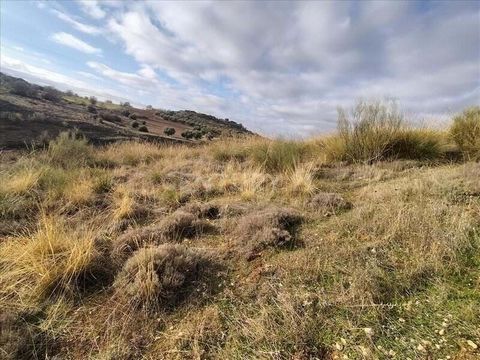 Are you looking to buy a plot of land in Anchuelo (Madrid)? Century 21 Now IV offers you the opportunity to acquire this very large plot, located in the town of Anchuelo, province of Madrid. It is located in PARAJE ESCOPETA, POLIGONO 10 Parcela 513. ...