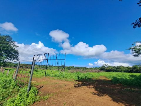 An exceptional investment opportunity awaits in the vibrant community of Santa Rosa, Tamarindo. This expansive 1-hectare (10,000 square meters) lot, boasting a generous 70 meters of frontage along a bustling public street, presents a versatile canvas...